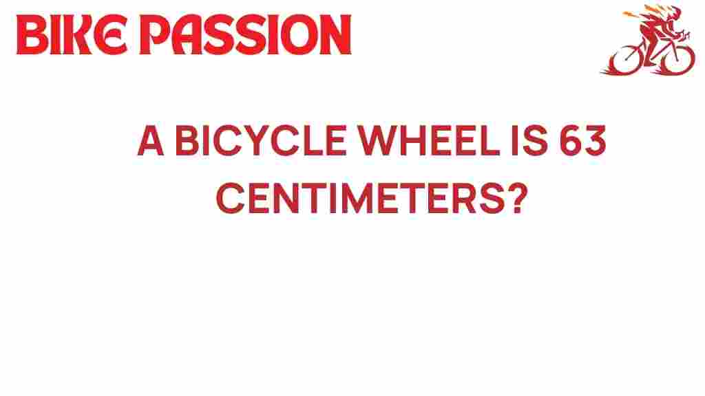 bicycle-wheel-63-centimeters