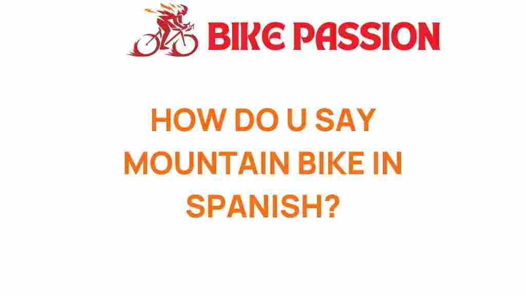 mountain-bike-spanish-translation