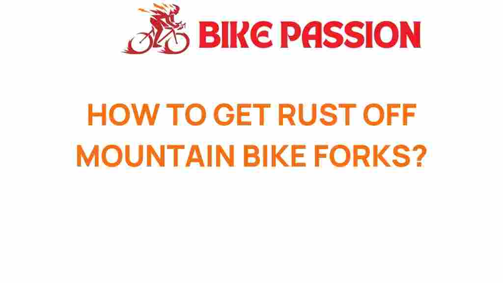 rust-removal-mountain-bike-forks
