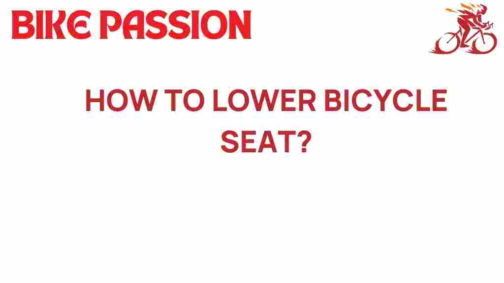 lower-bicycle-seat