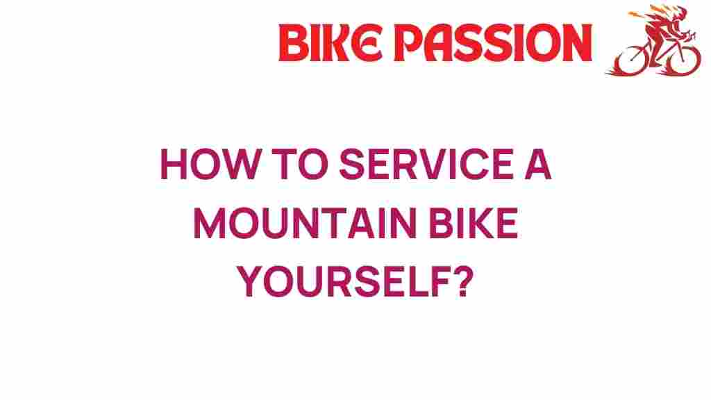 mountain-bike-maintenance-diy-guide