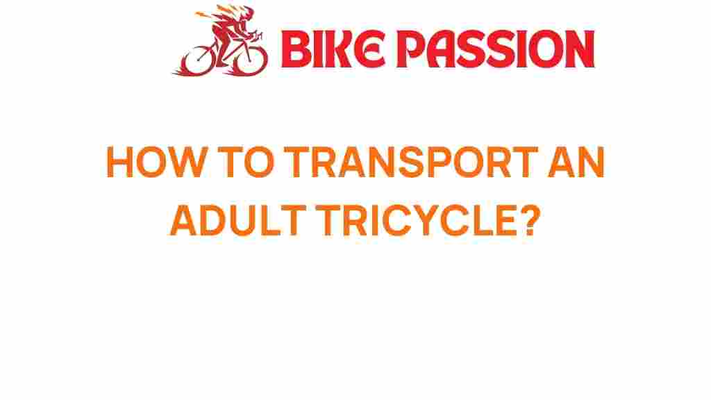 adult-tricycle-transportation-tips