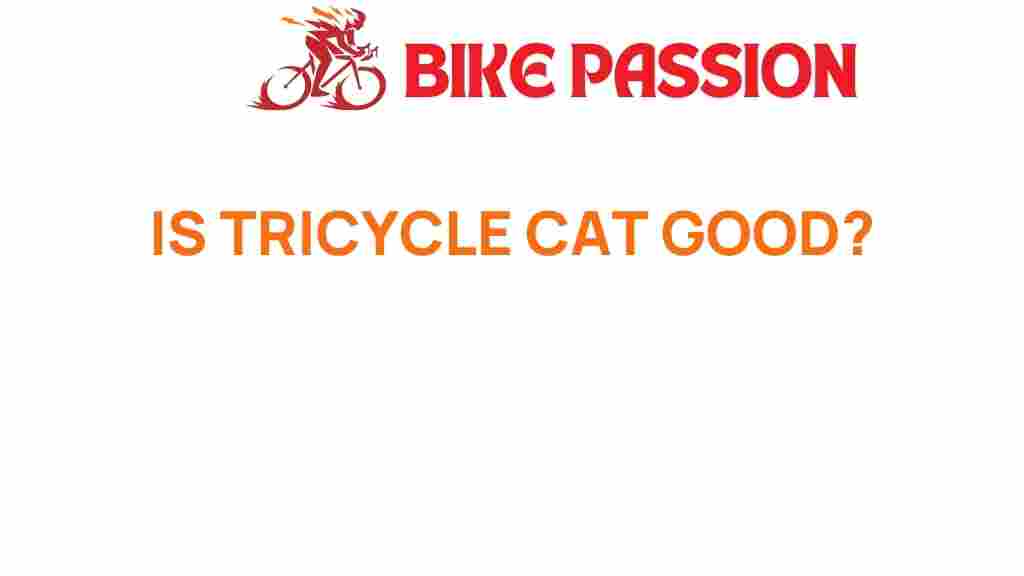 tricycle-cat-good