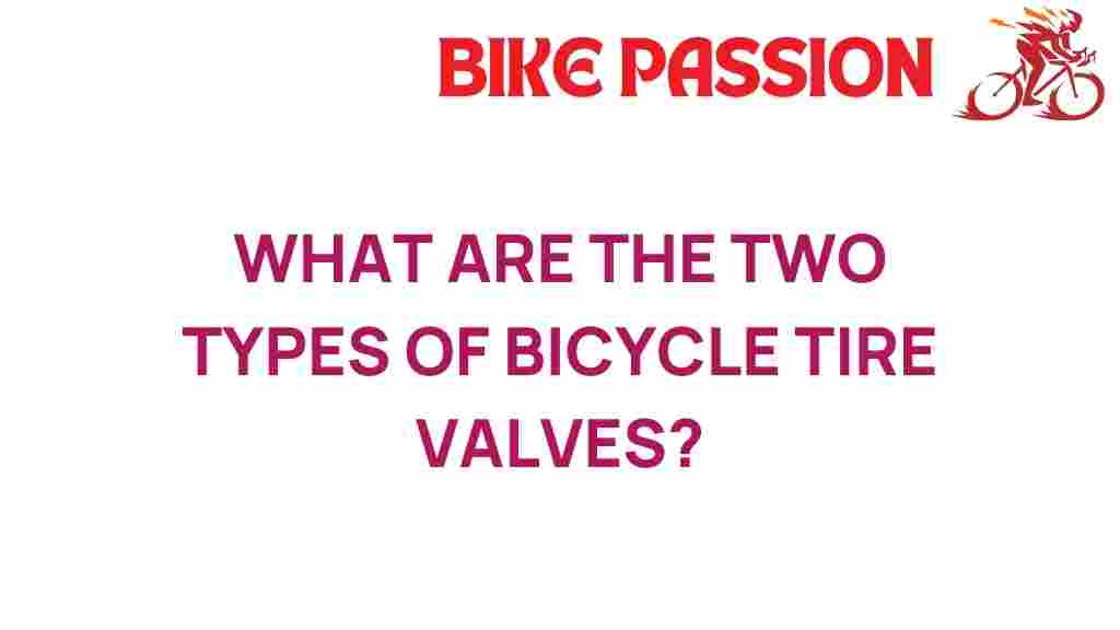 bicycle-tire-valves