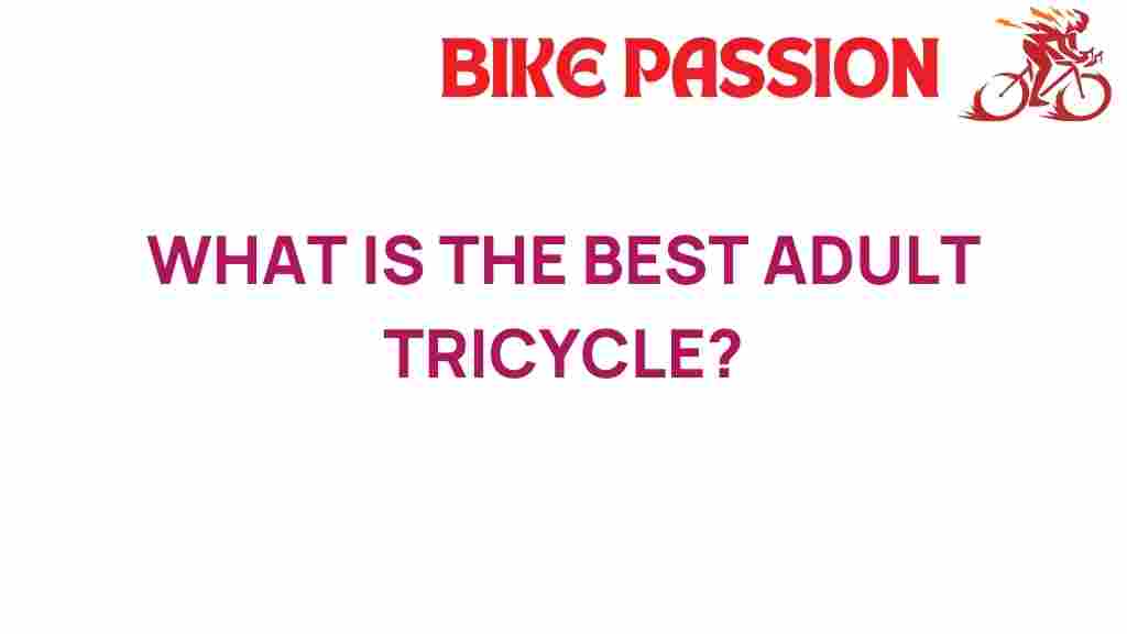 adult-tricycle-best