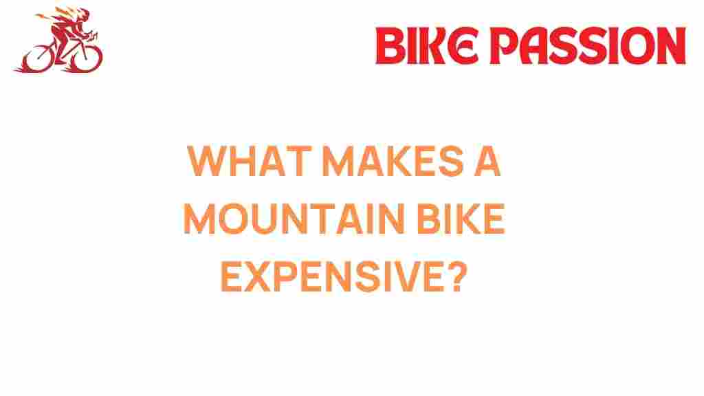 mountain-bike-expensive-secrets