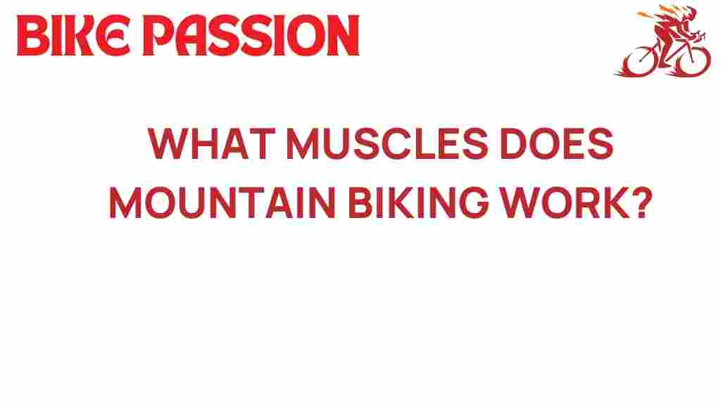 mountain-biking-muscle-groups