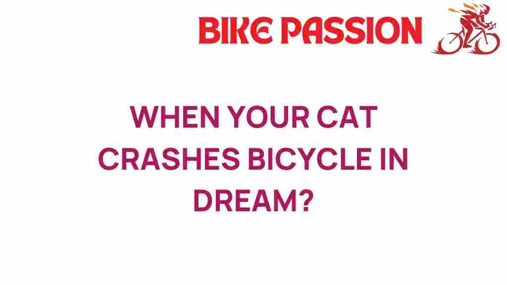cat-dreams-bicycle-crash